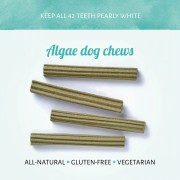 Cerea Eurostar Vegane Meeresalgen Kaustange Mittel (18cm) NICHT BIO Hund Snack Antos